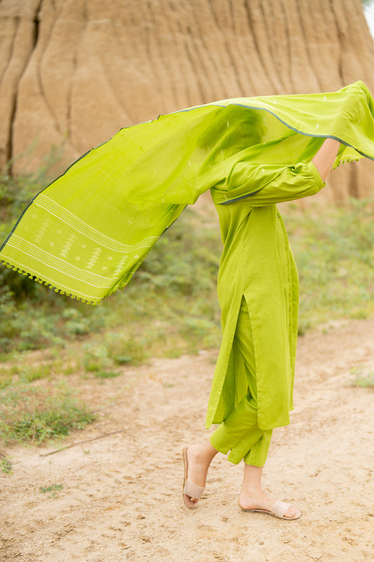 Green Apple Kurta Set with dupatta
