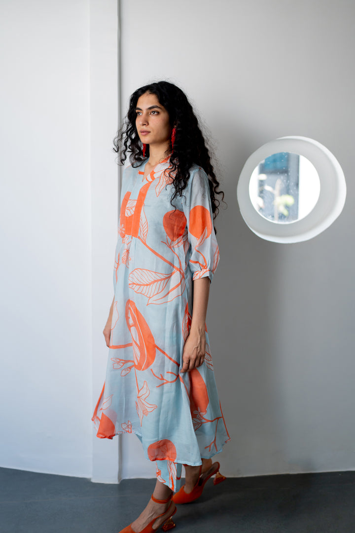 Mandarin Print Chanderi Kurta