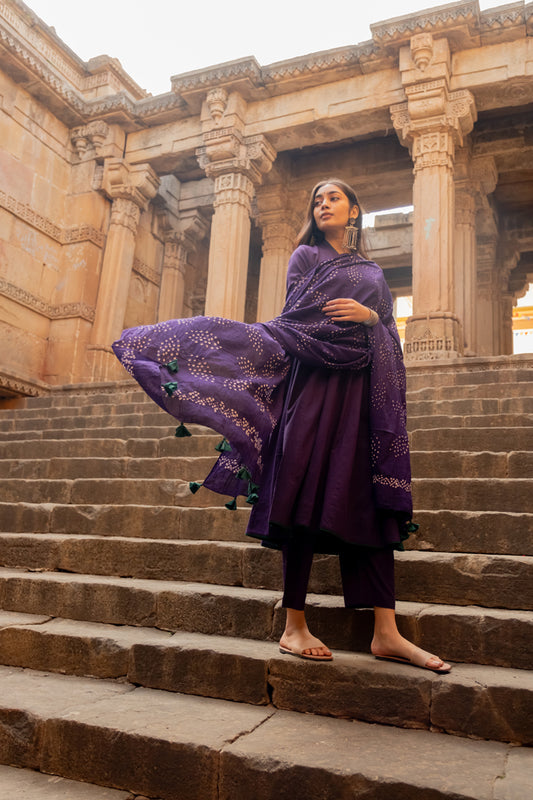 Purple grape kurta set with dupatta