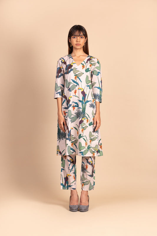 Pale Pink Toucan Dress Set