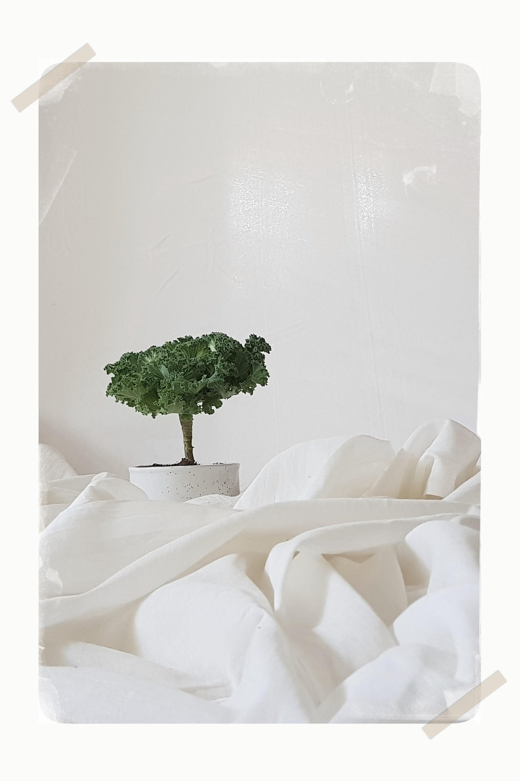 Silai Studio Gift Card