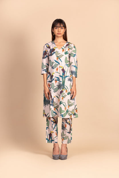 Pale Pink Toucan Dress Set