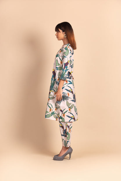 Pale Pink Toucan Dress Set