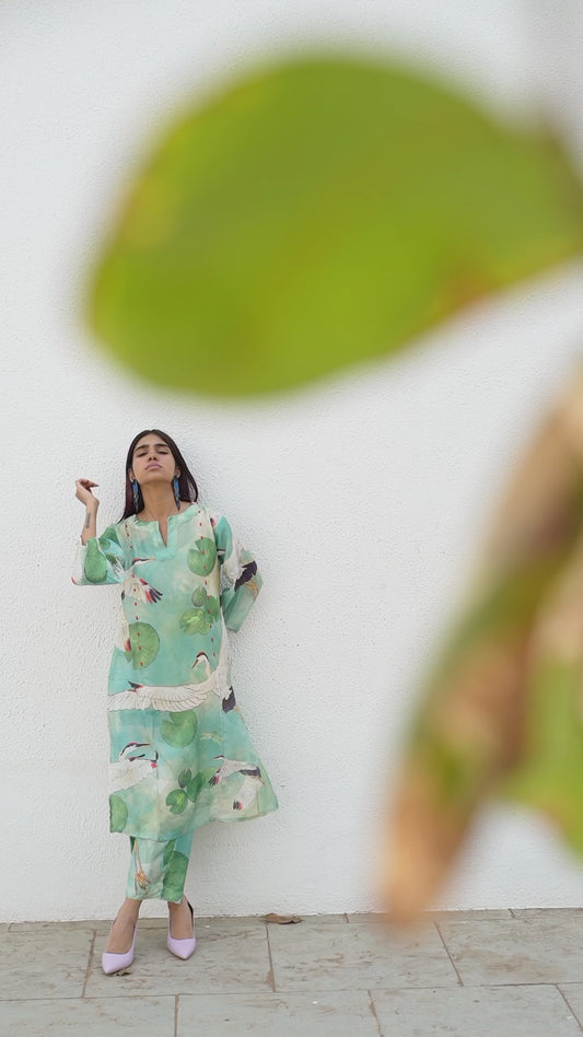 Oriental Cranes and Frogs Kurta Set